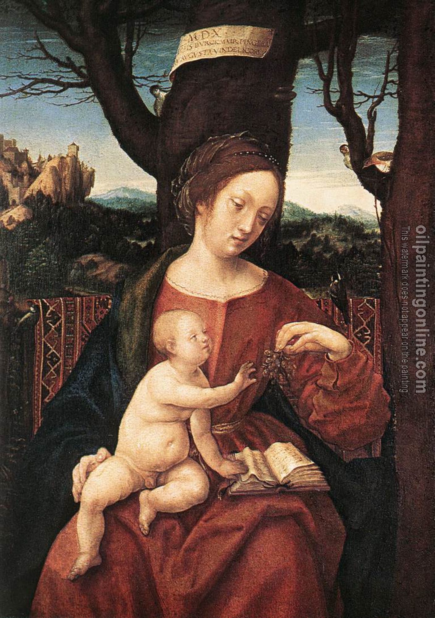 Burgkmair, Hans - Madonna with Grape